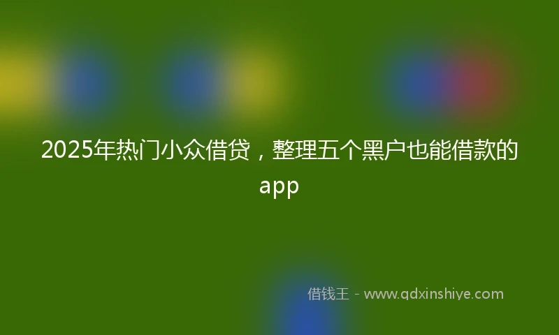 2025年热门小众借贷，整理五个黑户也能借款的app