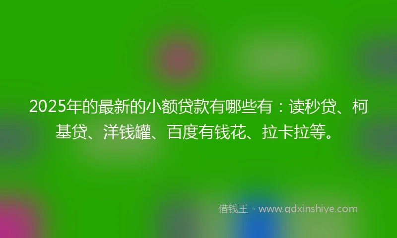 2025年的最新的小额贷款有哪些有：读秒贷、柯基贷、洋钱罐、百度有钱花、拉卡拉等。