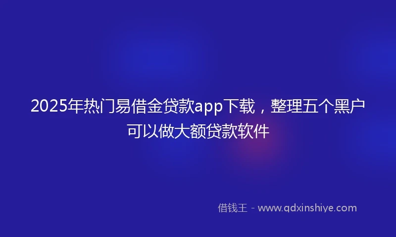 2025年热门易借金贷款app下载，整理五个黑户可以做大额贷款软件
