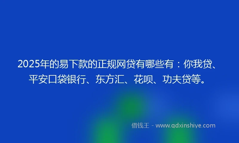 2025年的易下款的正规网贷有哪些有：你我贷、平安口袋银行、东方汇、花呗、功夫贷等。