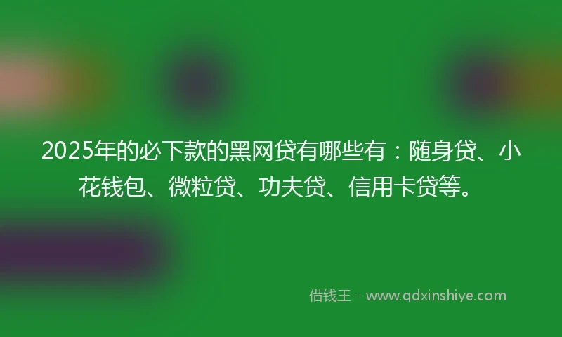 2025年的必下款的黑网贷有哪些有：随身贷、小花钱包、微粒贷、功夫贷、信用卡贷等。