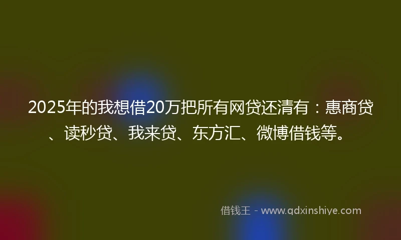 2025年的我想借20万把所有网贷还清有：惠商贷、读秒贷、我来贷、东方汇、微博借钱等。