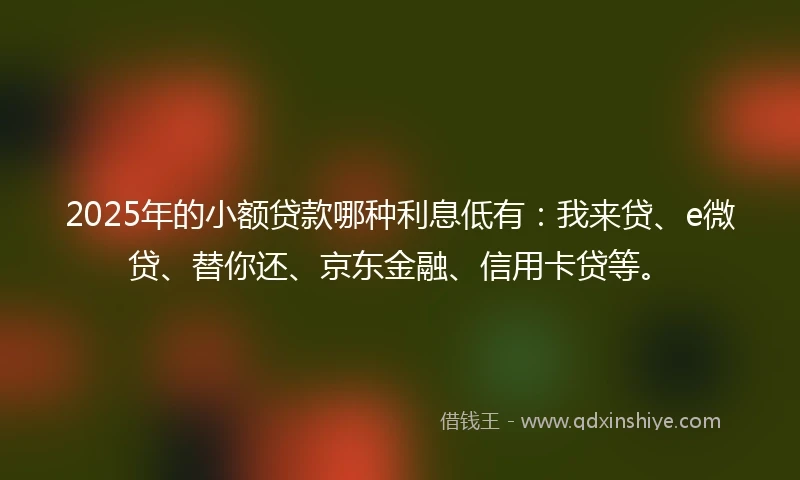 2025年的小额贷款哪种利息低有：我来贷、e微贷、替你还、京东金融、信用卡贷等。