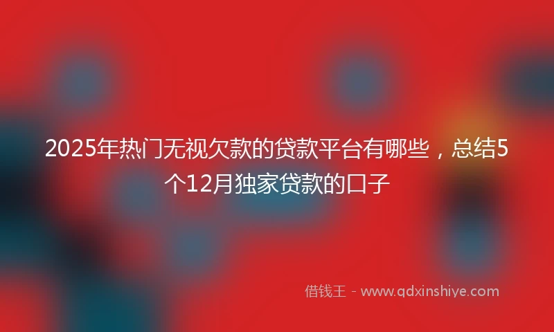 2025年热门无视欠款的贷款平台有哪些，总结5个12月独家贷款的口子
