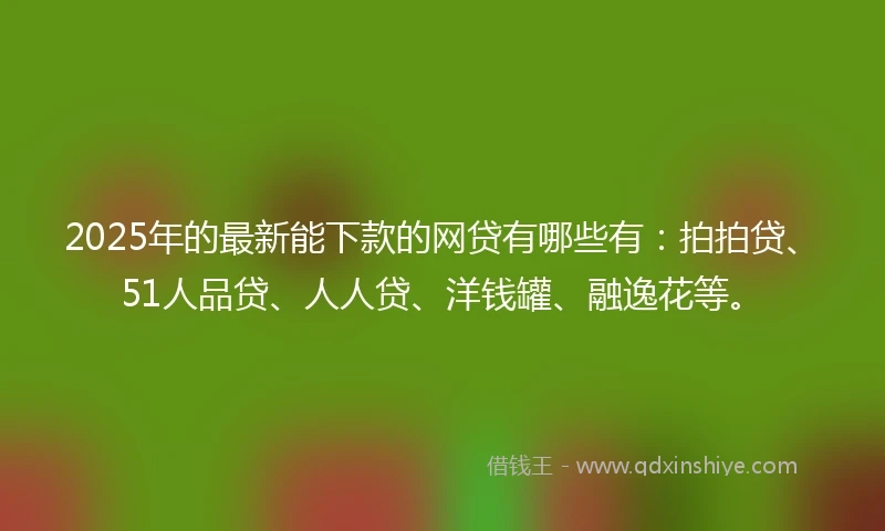 2025年的最新能下款的网贷有哪些有：拍拍贷、51人品贷、人人贷、洋钱罐、融逸花等。