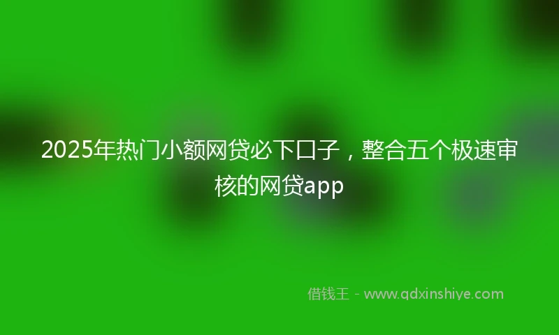 2025年热门小额网贷必下口子，整合五个极速审核的网贷app