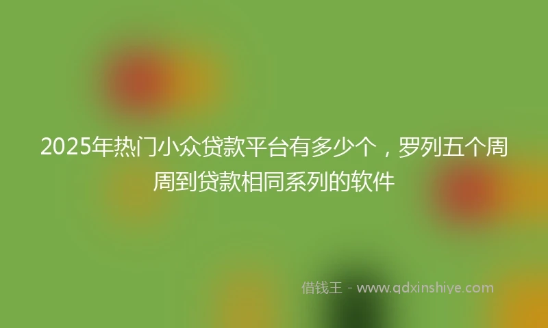 2025年热门小众贷款平台有多少个，罗列五个周周到贷款相同系列的软件