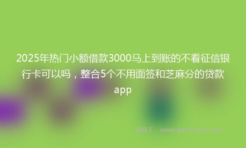 2025年热门小额借款3000马上到账的不看征信银行卡可以吗，整合5个不用面签和芝麻分的贷款app