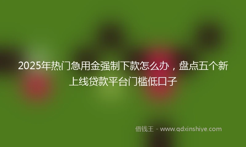 2025年热门急用金强制下款怎么办，盘点五个新上线贷款平台门槛低口子