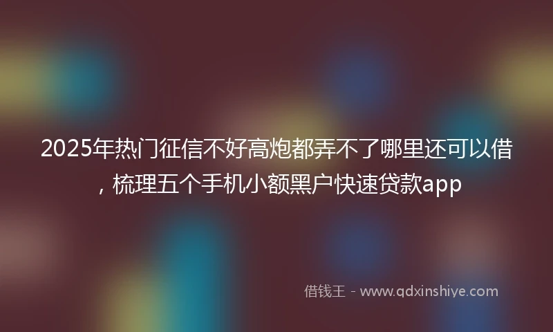 2025年热门征信不好高炮都弄不了哪里还可以借，梳理五个手机小额黑户快速贷款app