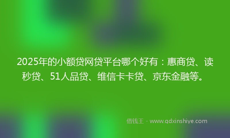 2025年的小额贷网贷平台哪个好有：惠商贷、读秒贷、51人品贷、维信卡卡贷、京东金融等。
