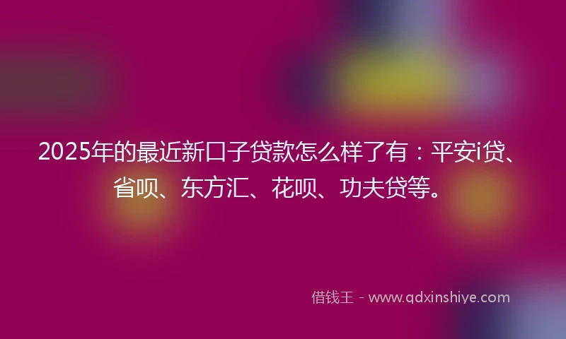 2025年的最近新口子贷款怎么样了有：平安i贷、省呗、东方汇、花呗、功夫贷等。