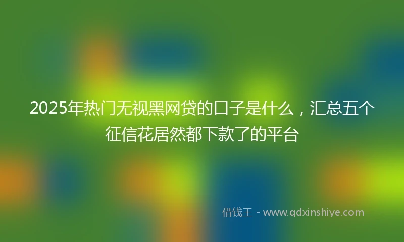 2025年热门无视黑网贷的口子是什么，汇总五个征信花居然都下款了的平台