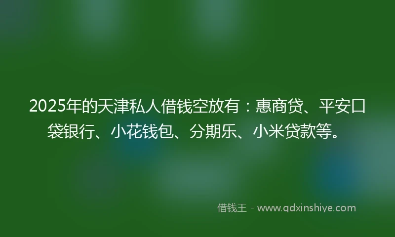 2025年的天津私人借钱空放有：惠商贷、平安口袋银行、小花钱包、分期乐、小米贷款等。