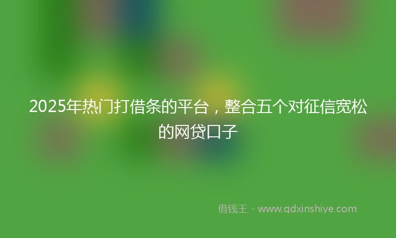 2025年热门打借条的平台，整合五个对征信宽松的网贷口子
