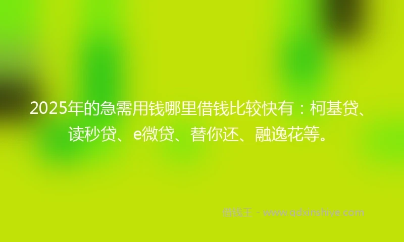 2025年的急需用钱哪里借钱比较快有：柯基贷、读秒贷、e微贷、替你还、融逸花等。