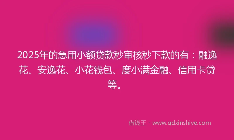 2025年的急用小额贷款秒审核秒下款的有：融逸花、安逸花、小花钱包、度小满金融、信用卡贷等。