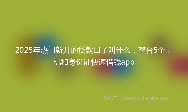 2025年热门新开的贷款口子叫什么，整合5个手机和身份证快速借钱app