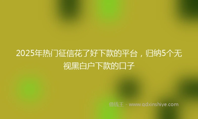 2025年热门征信花了好下款的平台，归纳5个无视黑白户下款的口子