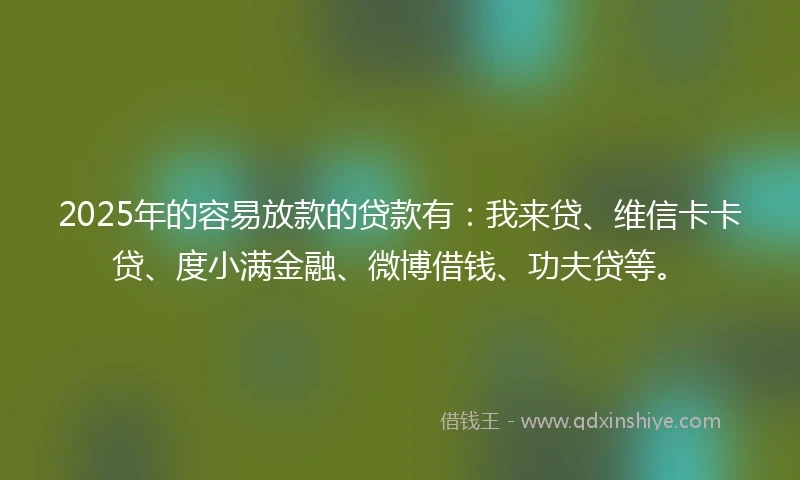 2025年的容易放款的贷款有：我来贷、维信卡卡贷、度小满金融、微博借钱、功夫贷等。