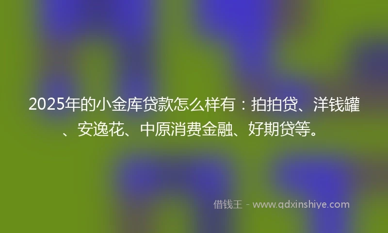2025年的小金库贷款怎么样有：拍拍贷、洋钱罐、安逸花、中原消费金融、好期贷等。