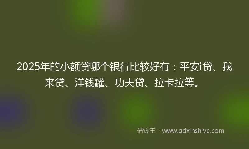 2025年的小额贷哪个银行比较好有：平安i贷、我来贷、洋钱罐、功夫贷、拉卡拉等。