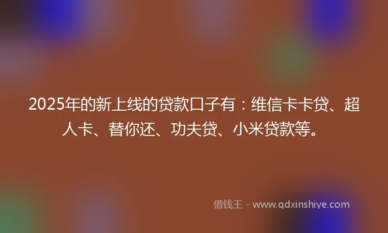 2025年的新上线的贷款口子有：维信卡卡贷、超人卡、替你还、功夫贷、小米贷款等。