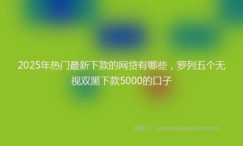 2025年热门最新下款的网贷有哪些，罗列五个无视双黑下款5000的口子