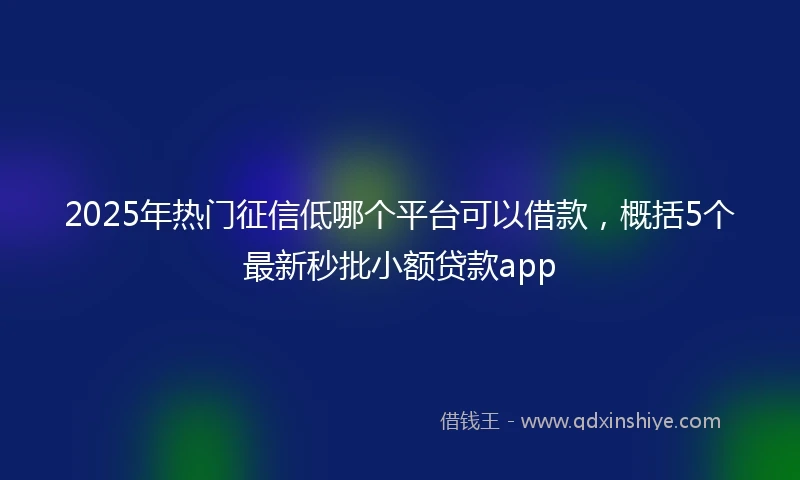 2025年热门征信低哪个平台可以借款，概括5个最新秒批小额贷款app