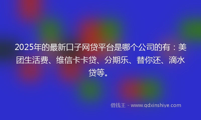 2025年的最新口子网贷平台是哪个公司的有：美团生活费、维信卡卡贷、分期乐、替你还、滴水贷等。
