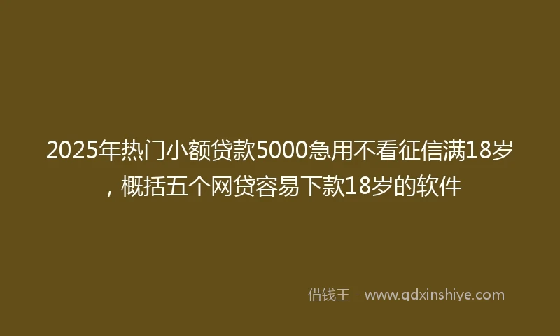 2025年热门小额贷款5000急用不看征信满18岁，概括五个网贷容易下款18岁的软件