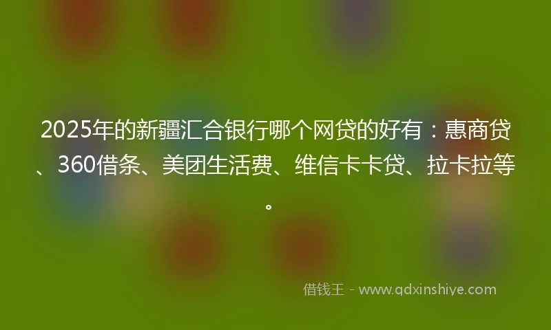2025年的新疆汇合银行哪个网贷的好有：惠商贷、360借条、美团生活费、维信卡卡贷、拉卡拉等。