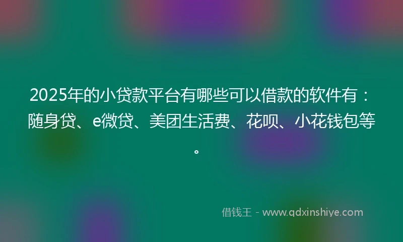 2025年的小贷款平台有哪些可以借款的软件有：随身贷、e微贷、美团生活费、花呗、小花钱包等。