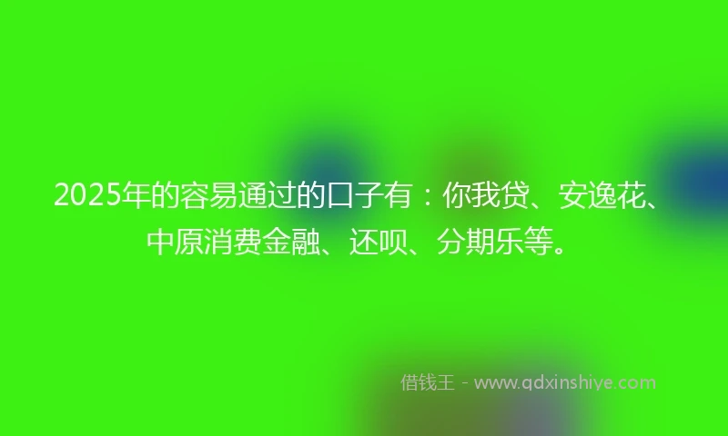 2025年的容易通过的口子有：你我贷、安逸花、中原消费金融、还呗、分期乐等。