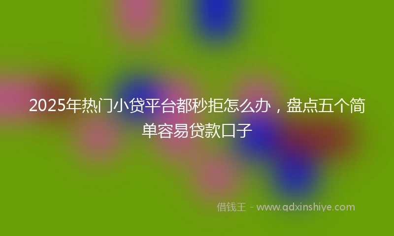 2025年热门小贷平台都秒拒怎么办，盘点五个简单容易贷款口子
