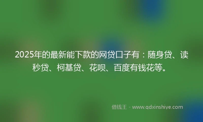 2025年的最新能下款的网贷口子有：随身贷、读秒贷、柯基贷、花呗、百度有钱花等。