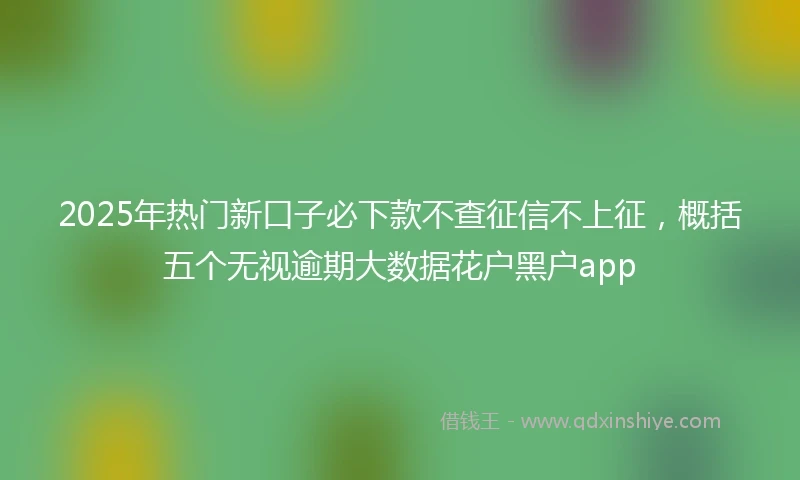 2025年热门新口子必下款不查征信不上征，概括五个无视逾期大数据花户黑户app