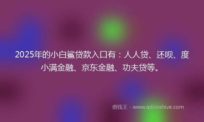 2025年的小白鲨贷款入口有：人人贷、还呗、度小满金融、京东金融、功夫贷等。