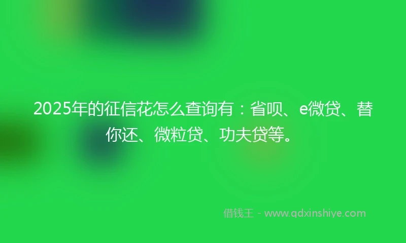 2025年的征信花怎么查询有：省呗、e微贷、替你还、微粒贷、功夫贷等。