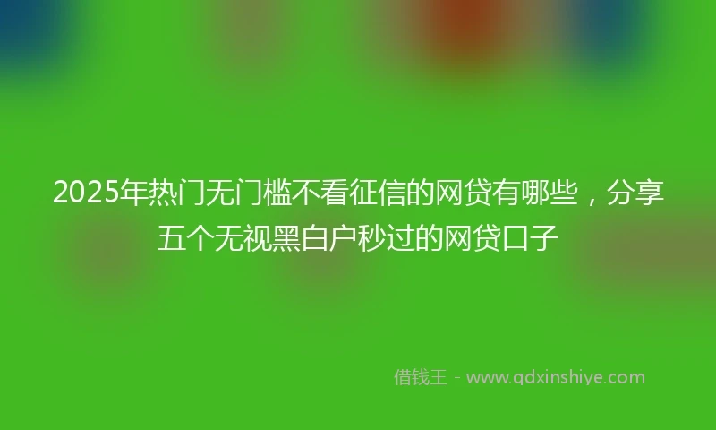 2025年热门无门槛不看征信的网贷有哪些，分享五个无视黑白户秒过的网贷口子