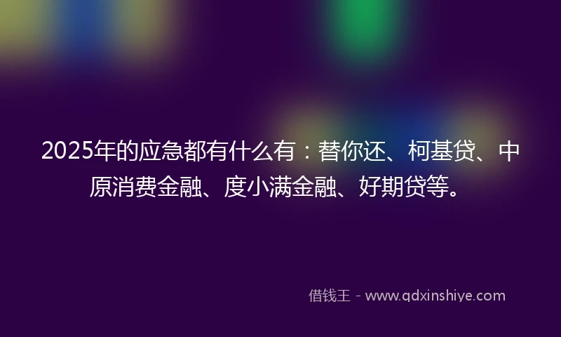 2025年的应急都有什么有：替你还、柯基贷、中原消费金融、度小满金融、好期贷等。