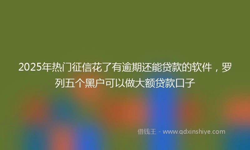 2025年热门征信花了有逾期还能贷款的软件，罗列五个黑户可以做大额贷款口子