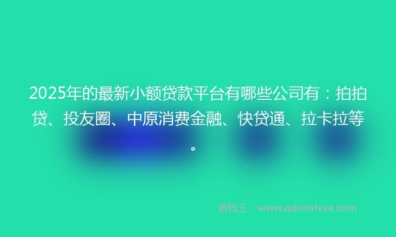 2025年的最新小额贷款平台有哪些公司有：拍拍贷、投友圈、中原消费金融、快贷通、拉卡拉等。