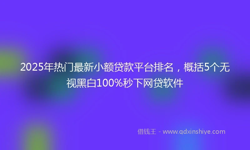 2025年热门最新小额贷款平台排名，概括5个无视黑白100%秒下网贷软件