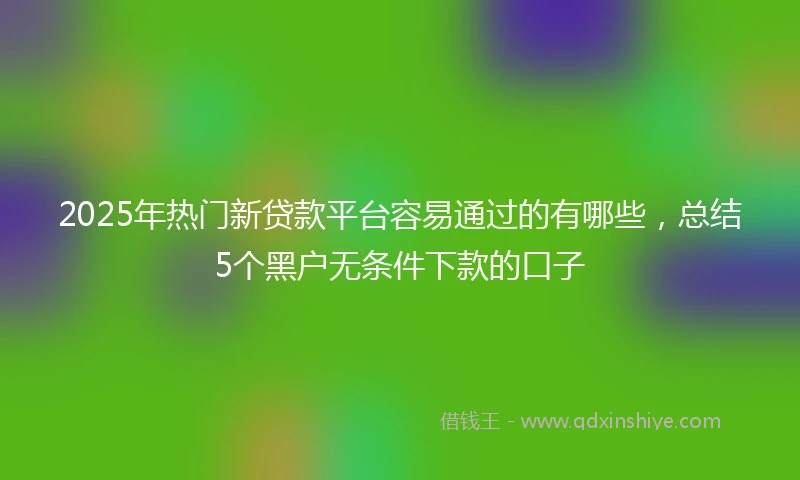 2025年热门新贷款平台容易通过的有哪些，总结5个黑户无条件下款的口子