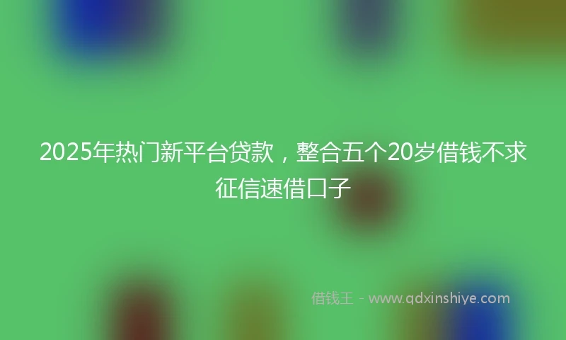 2025年热门新平台贷款，整合五个20岁借钱不求征信速借口子