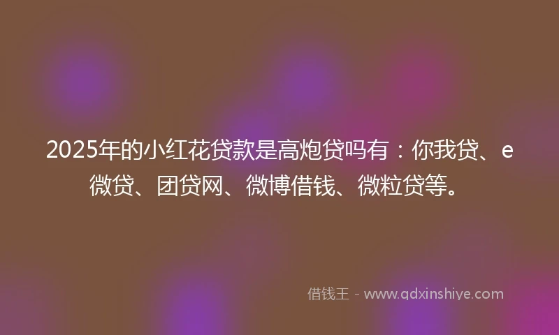 2025年的小红花贷款是高炮贷吗有：你我贷、e微贷、团贷网、微博借钱、微粒贷等。