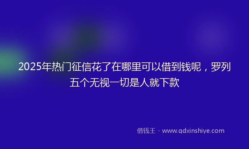 2025年热门征信花了在哪里可以借到钱呢，罗列五个无视一切是人就下款