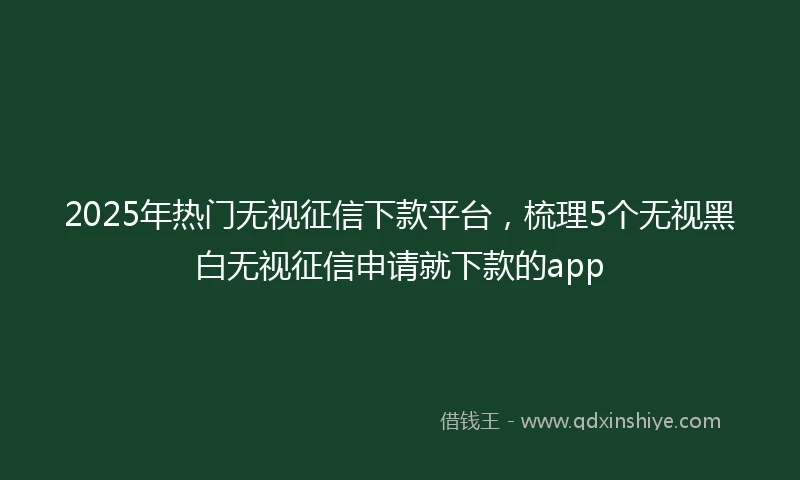 2025年热门无视征信下款平台，梳理5个无视黑白无视征信申请就下款的app