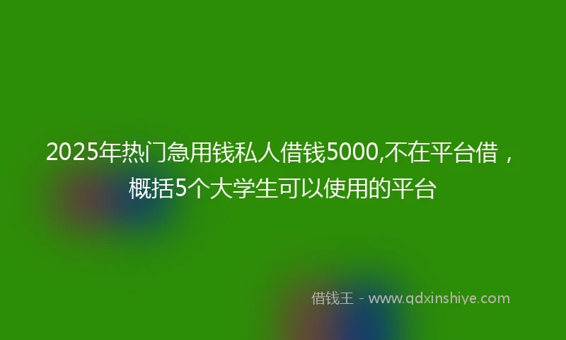 2025年热门急用钱私人借钱5000,不在平台借，概括5个大学生可以使用的平台
